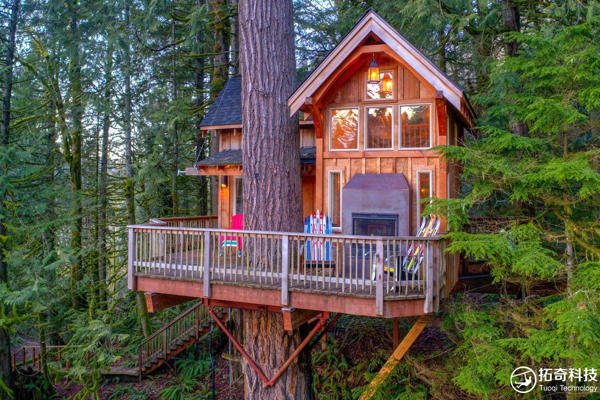 树上木屋  木屋酒店